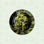 LOUD Metal Ash Trays Weed Strain Designs - ACAPULCO GOLD by Loud
